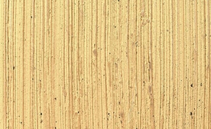 Wood - Decorative Finish with Natural Wood Texture