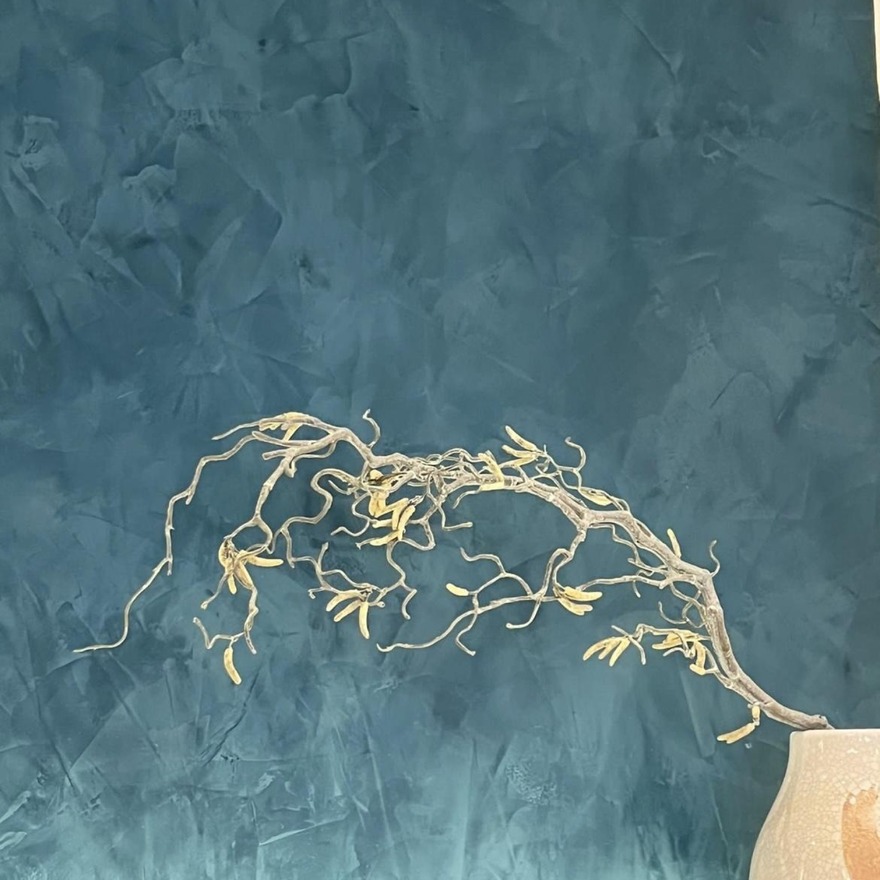 Lithos Venetian Plaster